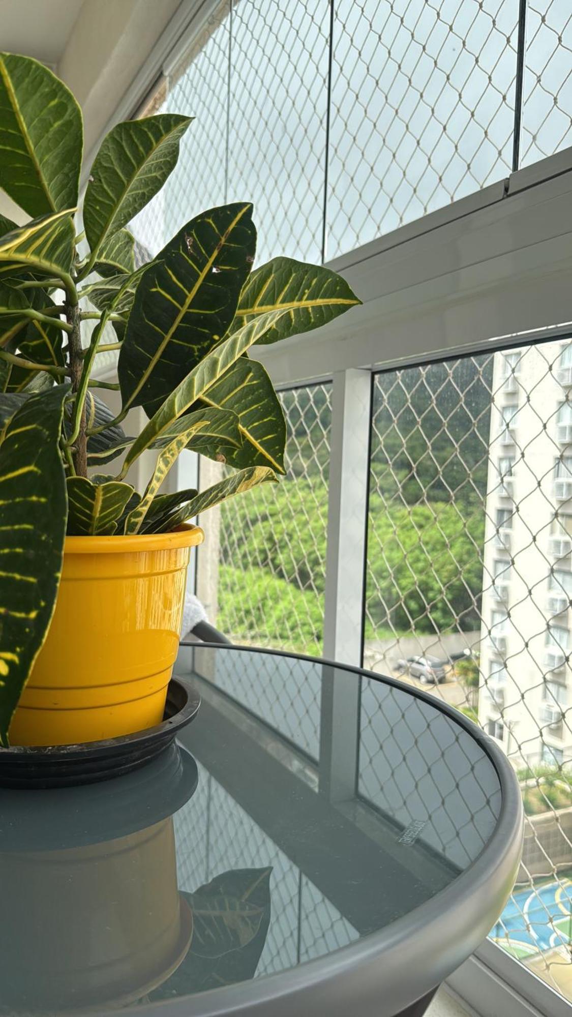 Ape Pontal Oceanico - Recreio Dos Bandeirantes Appartement *